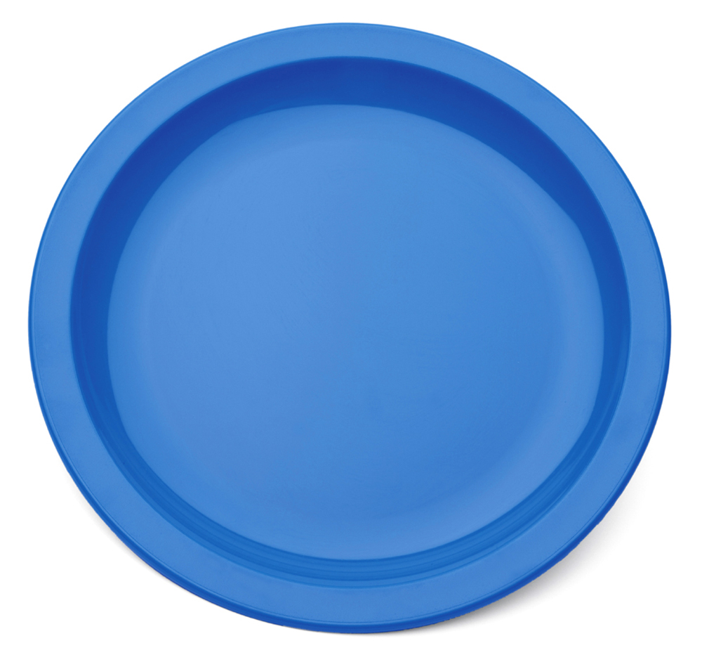 23cm-Antibacterial-Plate---Blue